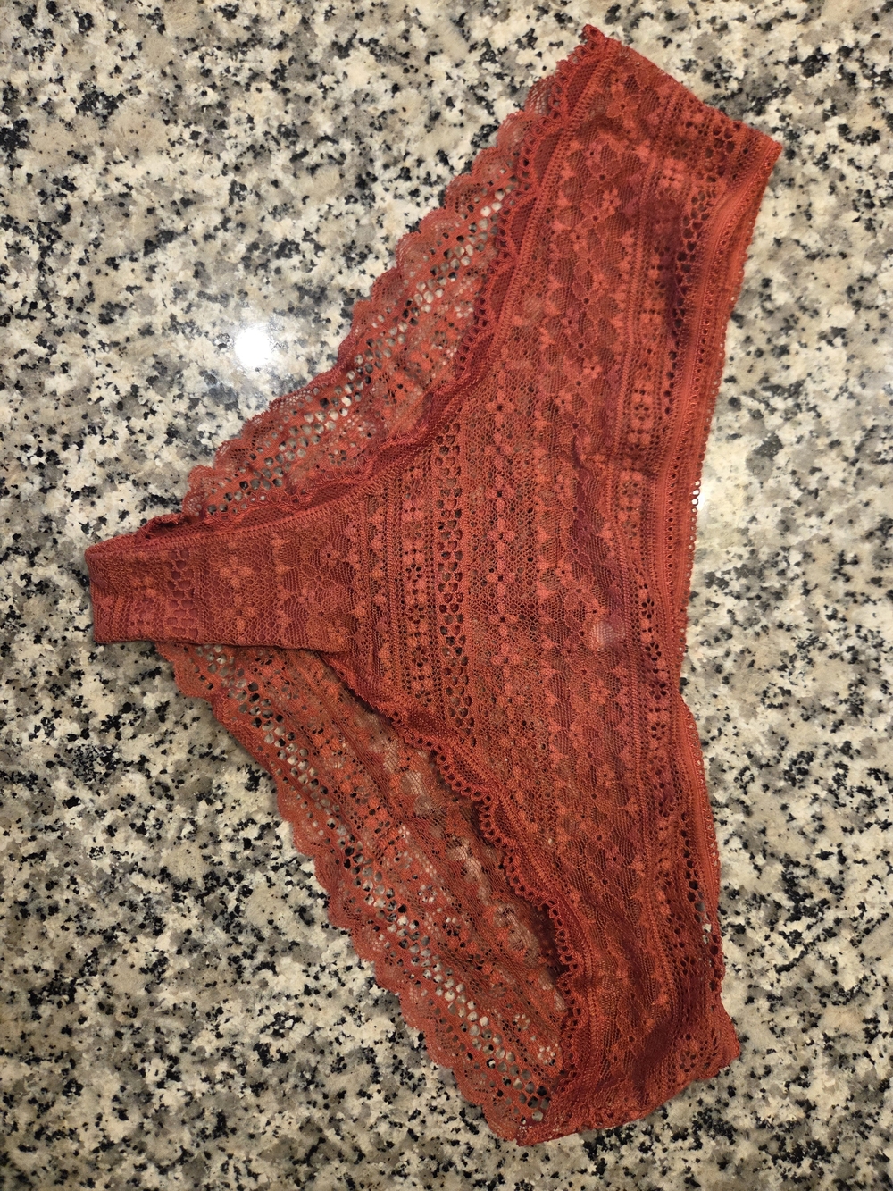 Victoria's Secret Rust Orange Lace Bikini Panty